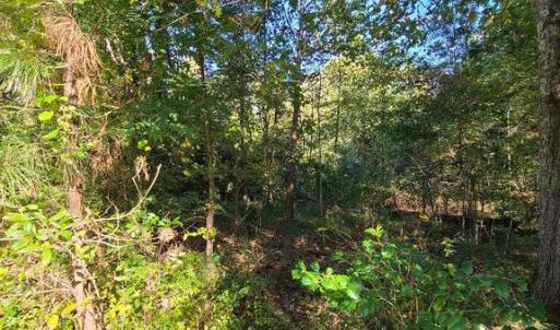 Photo #6 of CHARLES ST, GORDONSVILLE, VA 0.4 acres