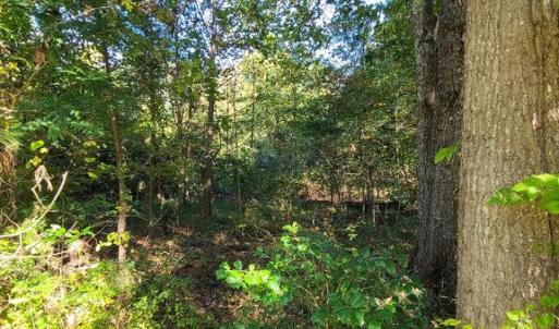 Photo #5 of CHARLES ST, GORDONSVILLE, VA 0.4 acres