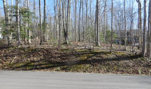 Photo #3 of 905 EASTOVER PKWY, LOCUST GROVE, VA 0.5 acres