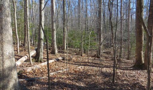 Photo #10 of 905 EASTOVER PKWY, LOCUST GROVE, VA 0.5 acres