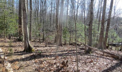 Photo #4 of 905 EASTOVER PKWY, LOCUST GROVE, VA 0.5 acres