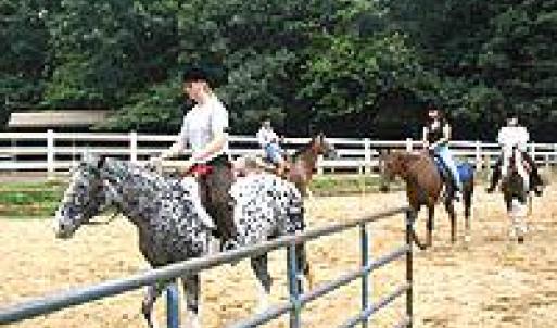 Photo #21 of 905 EASTOVER PKWY, LOCUST GROVE, VA 0.5 acres