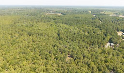 Photo #6 of Live Oak Methodist Church, White Oak, NC 89.0 acres