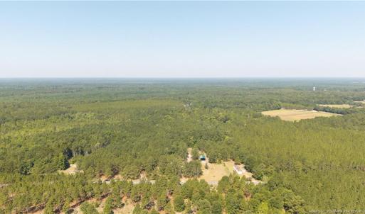 Photo #5 of Live Oak Methodist Church, White Oak, NC 89.0 acres