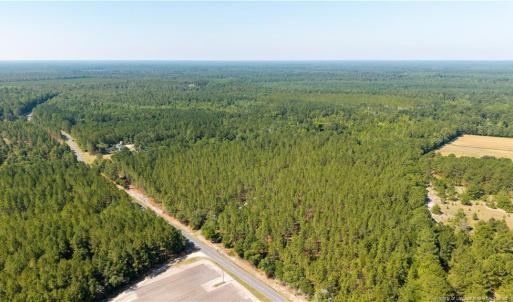 Photo #2 of Live Oak Methodist Church, White Oak, NC 89.0 acres