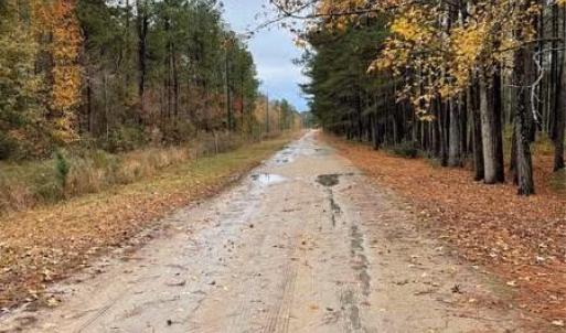Photo #2 of Porcelain, Maxton, NC 44.0 acres