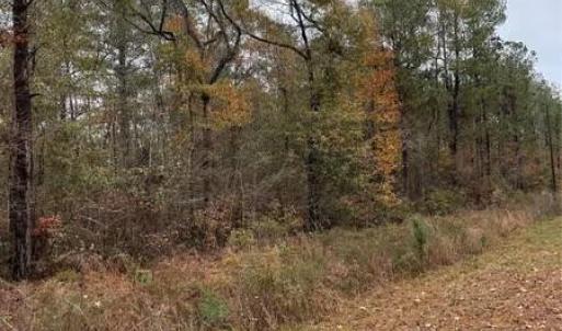 Photo #3 of Porcelain, Maxton, NC 44.0 acres