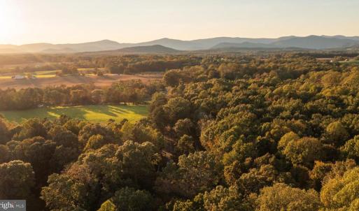 Photo #3 of SHELBY RD, ROCHELLE, VA 67.0 acres