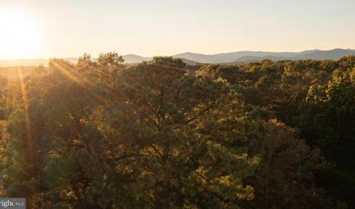 Photo #5 of SHELBY RD, ROCHELLE, VA 67.0 acres