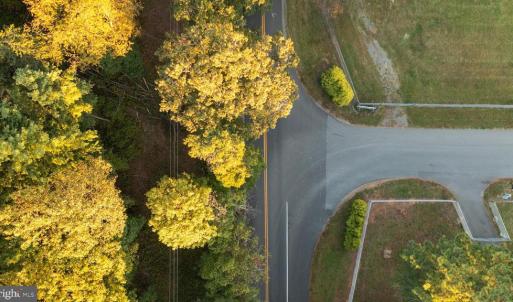 Photo #6 of SHELBY RD, ROCHELLE, VA 67.0 acres