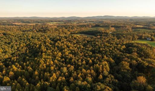 Photo #10 of SHELBY RD, ROCHELLE, VA 67.0 acres