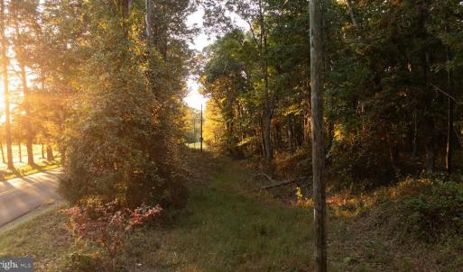 Photo #14 of SHELBY RD, ROCHELLE, VA 67.0 acres