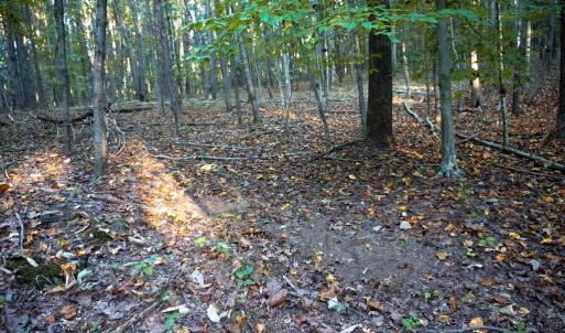 Photo #33 of SHELBY RD, ROCHELLE, VA 67.0 acres