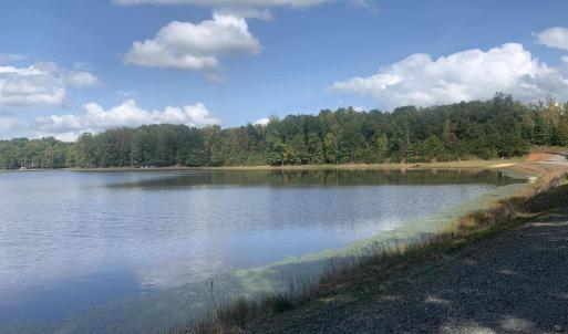 Photo #2 of LAKE RUTH ANN, LOUISA, VA 3.1 acres