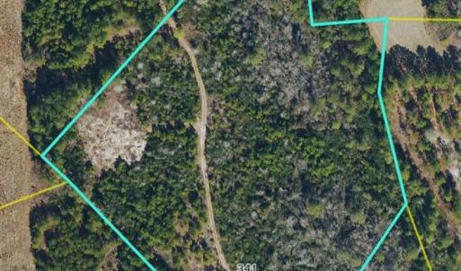 Photo #1 of 341 Squires Farm, White Oak, NC 9.7 acres