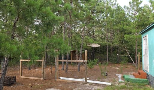 Photo #11 of 341 Squires Farm, White Oak, NC 9.7 acres