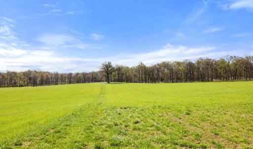 Photo #7 of ATOKA RD, MARSHALL, VA 162.6 acres