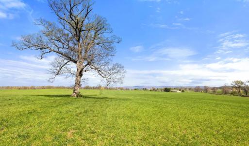 Photo #8 of ATOKA RD, MARSHALL, VA 162.6 acres