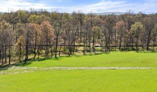 Photo #10 of ATOKA RD, MARSHALL, VA 162.6 acres