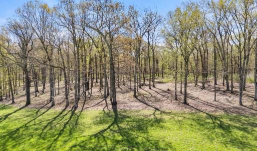 Photo #25 of ATOKA RD, MARSHALL, VA 162.6 acres