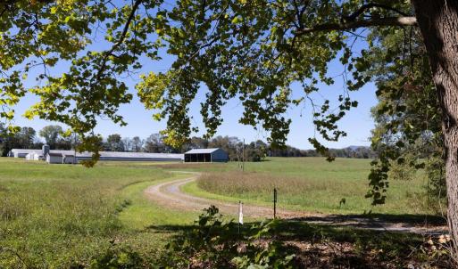 Photo #12 of VAUGHN SUMMIT RD., LURAY, VA 28.8 acres