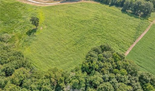 Photo #5 of Laia Hills (Lot 4), Siler City, NC 5.4 acres
