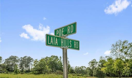 Photo #26 of Laia Hills (Lot 4), Siler City, NC 5.4 acres