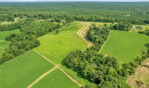 Photo #16 of Laia Hills (Lot 4), Siler City, NC 5.4 acres