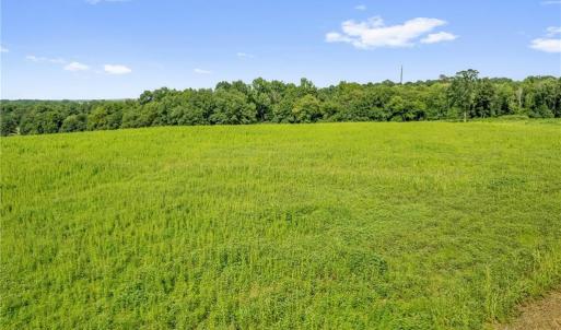Photo #22 of Laia Hills (Lot 4), Siler City, NC 5.4 acres