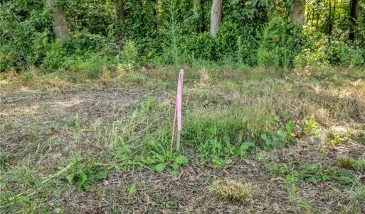 Photo #18 of Laia Hills (Lot 4), Siler City, NC 5.4 acres