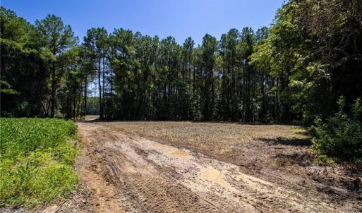 Photo #16 of TBD Balfour, Lumber Bridge, NC 12.5 acres