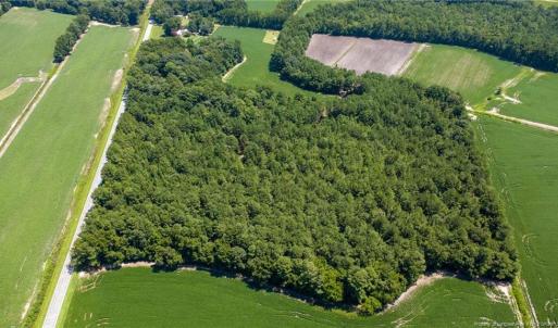 Photo #6 of TBD Balfour, Lumber Bridge, NC 12.5 acres