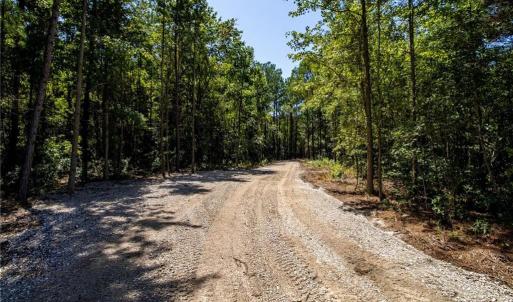 Photo #12 of TBD Balfour, Lumber Bridge, NC 12.5 acres