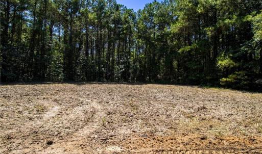 Photo #17 of TBD Balfour, Lumber Bridge, NC 12.5 acres