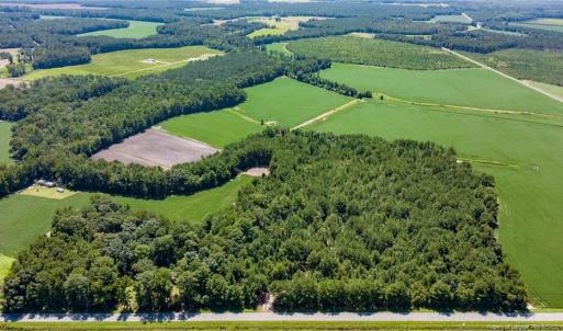 Photo #2 of TBD Balfour, Lumber Bridge, NC 12.5 acres