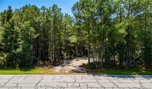 Photo #9 of TBD Balfour, Lumber Bridge, NC 12.5 acres