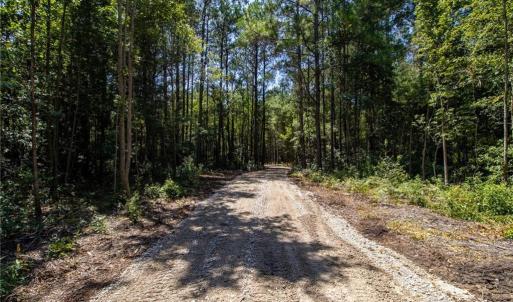 Photo #11 of TBD Balfour, Lumber Bridge, NC 12.5 acres