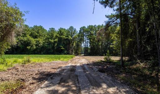 Photo #15 of TBD Balfour, Lumber Bridge, NC 12.5 acres