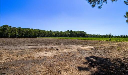 Photo #19 of TBD Balfour, Lumber Bridge, NC 12.5 acres