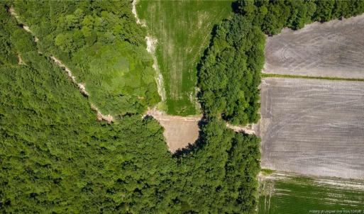 Photo #8 of TBD Balfour, Lumber Bridge, NC 12.5 acres