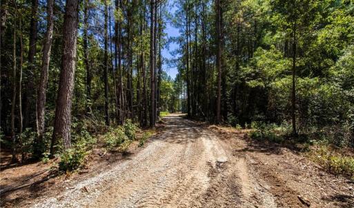 Photo #14 of TBD Balfour, Lumber Bridge, NC 12.5 acres