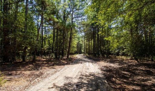 Photo #13 of TBD Balfour, Lumber Bridge, NC 12.5 acres