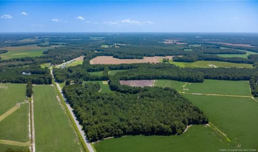 Photo #4 of TBD Balfour, Lumber Bridge, NC 12.5 acres