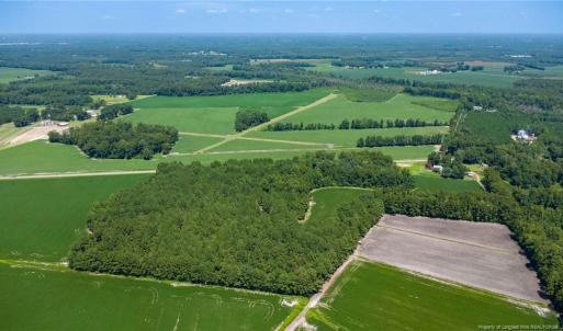 Photo #7 of TBD Balfour, Lumber Bridge, NC 12.5 acres