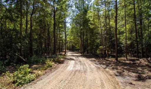 Photo #10 of TBD Balfour, Lumber Bridge, NC 12.5 acres