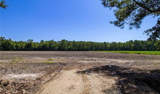 Photo #18 of TBD Balfour, Lumber Bridge, NC 12.5 acres