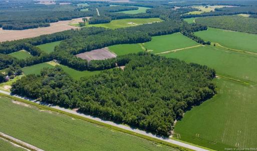 Photo #3 of TBD Balfour, Lumber Bridge, NC 12.5 acres