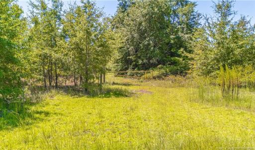 Photo #10 of TBD Blue Springs, Red Springs, NC 61.9 acres