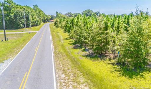 Photo #7 of TBD Blue Springs, Red Springs, NC 61.9 acres