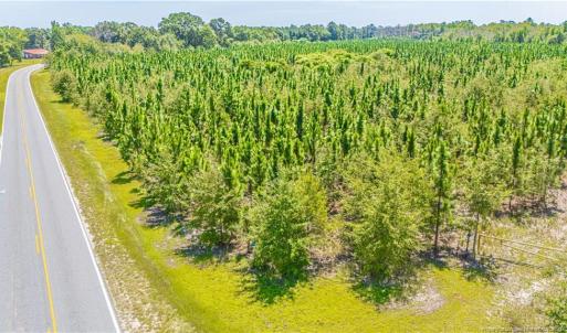 Photo #8 of TBD Blue Springs, Red Springs, NC 61.9 acres